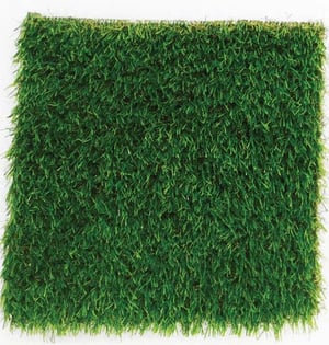 DuPont Foreverlawn