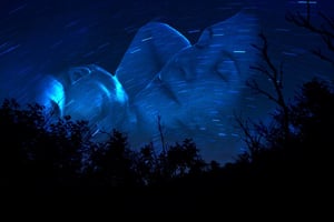 Can High-Tech Tools Help Crack the Sleep Code?