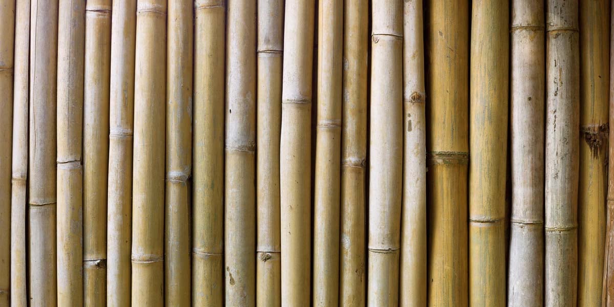 Modular Bamboo