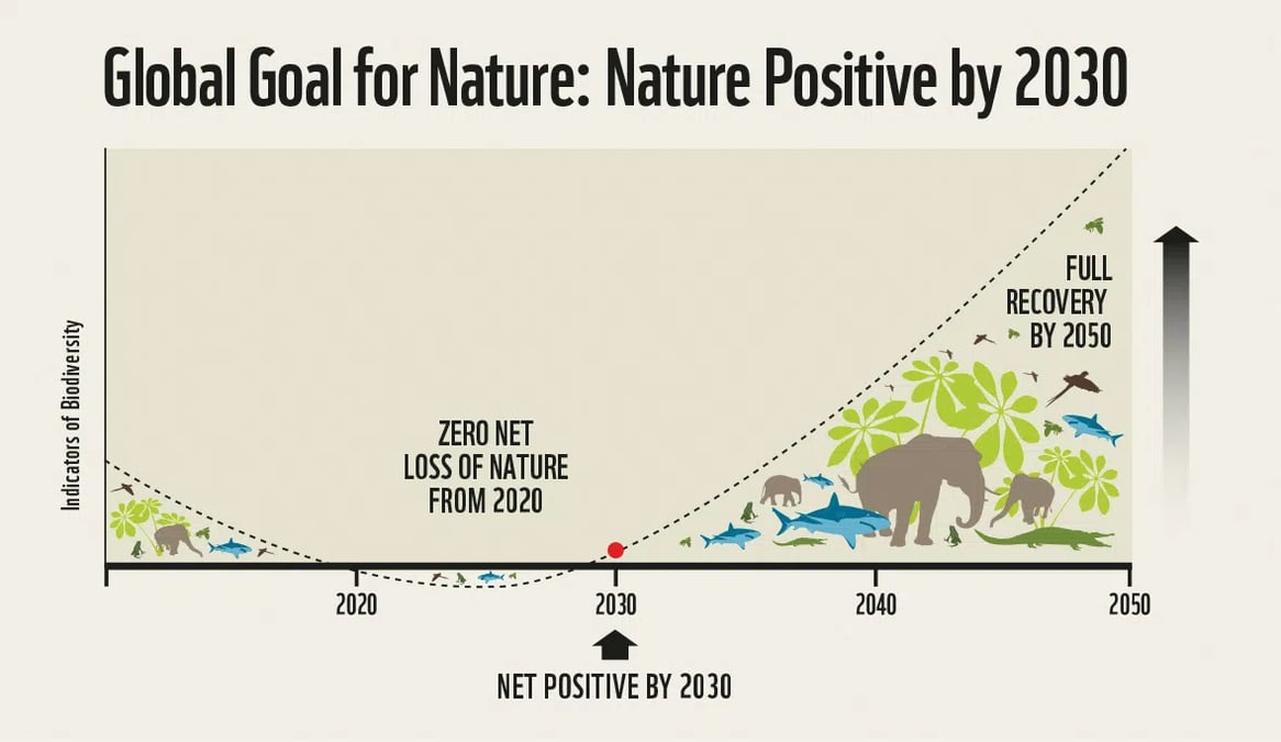 Nature_Positive_graph