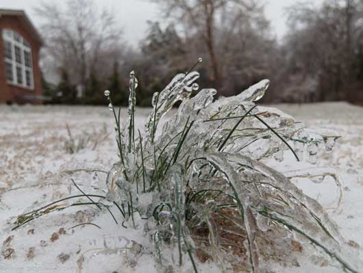 Tennessee-Ice.jpg