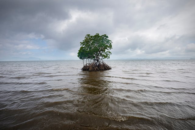 sea-level-rise.jpg sea-level-rise.jpg