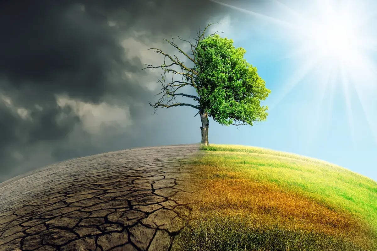 Future-Proofing Water Lessons from the 2024 Next Generation Water Summit