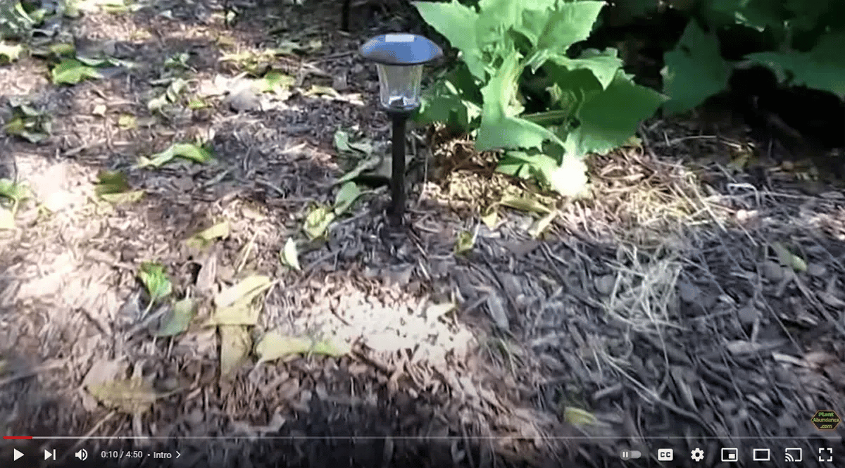 Quick & Easy Way to Clean, Renew & Restore Solar Pathway Lights! Wow!! Looks Brand New!!!