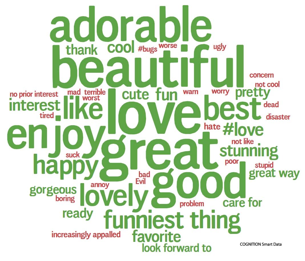 COGNITION Landscaping Word Cloud