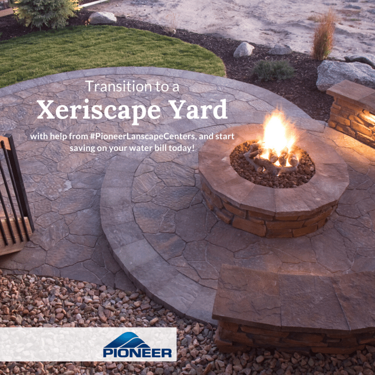 xeriscape
