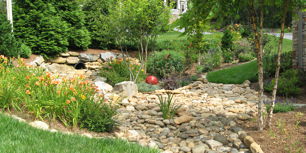 Rain-Garden_residential-landscape_BCEMGV featured