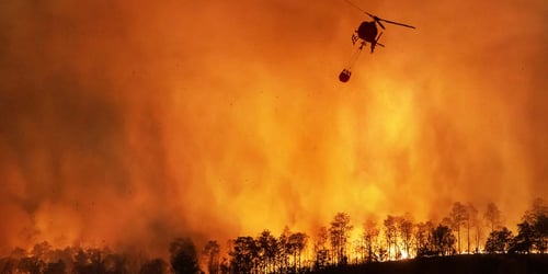 wildfire