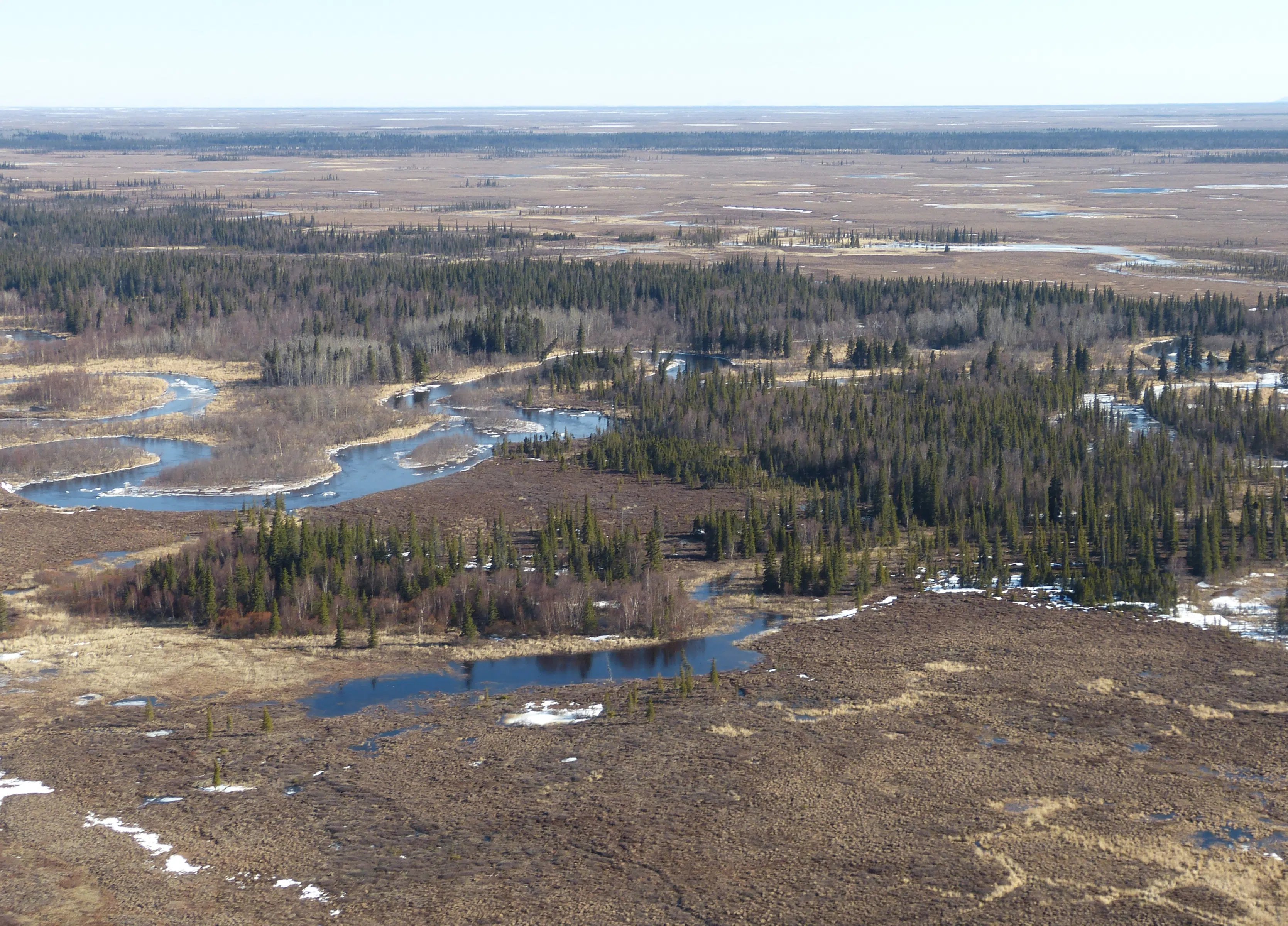 State - Alaska Boreal Forest 300