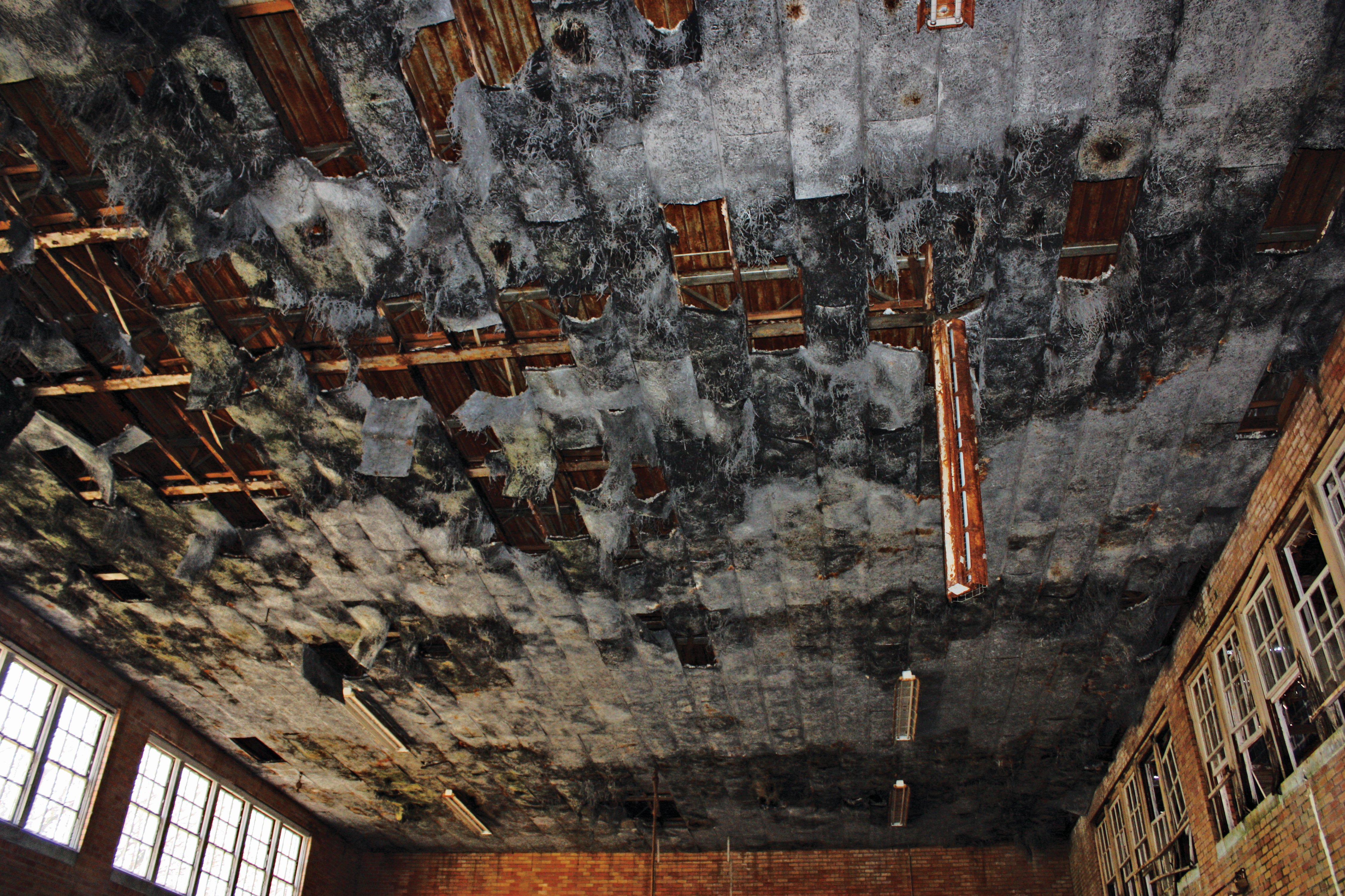 Rotting ceiling 300