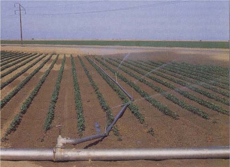 california_sprinkler_irrigation_green_builder.jpg california_sprinkler_irrigation_green_builder.jpg