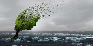 Ecopsychology: Surging Anxiety Over Climate Change