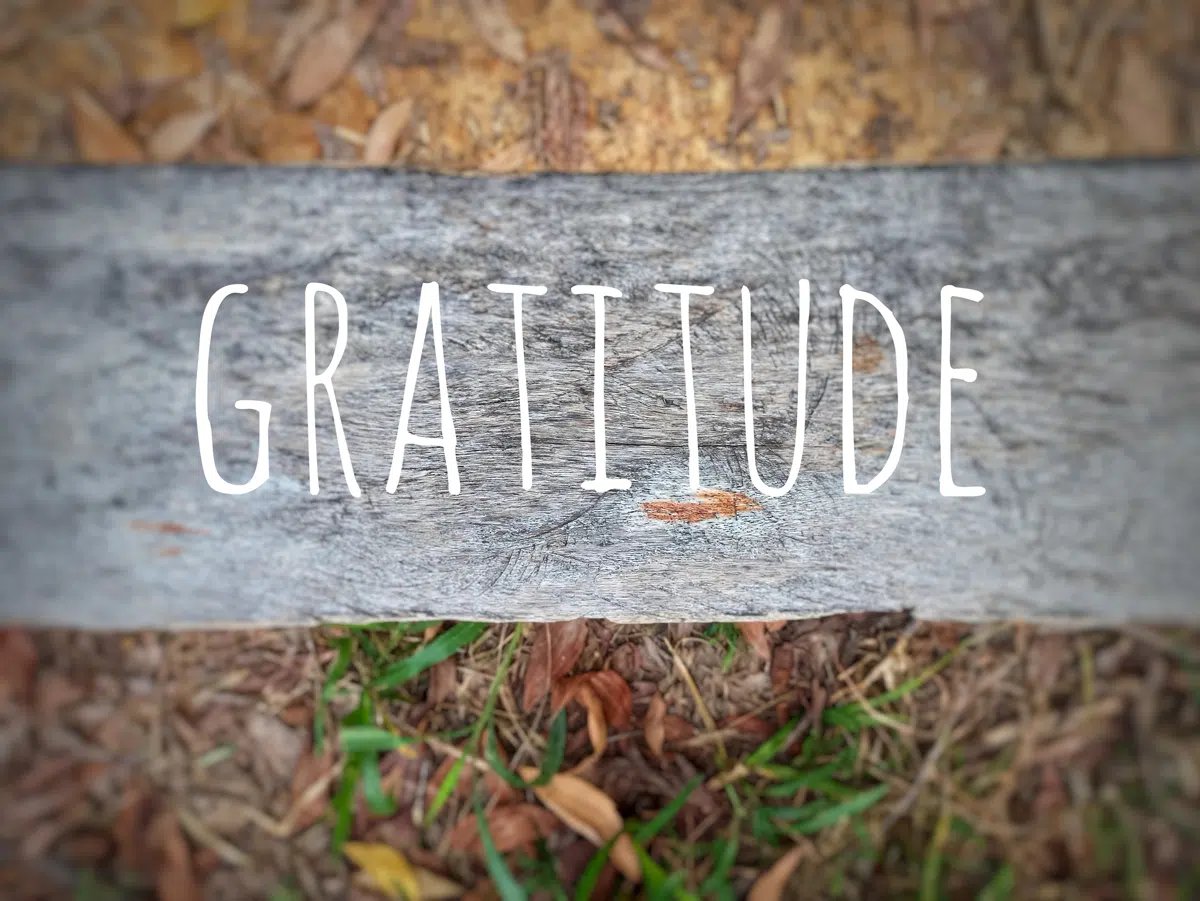 Gratitude shutterstock