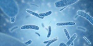 Plumbing Industry Applauds Legislation That Will Improve Water Quality, Efficiency