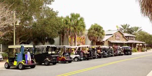 The Poison Pill of 55-Plus Communities