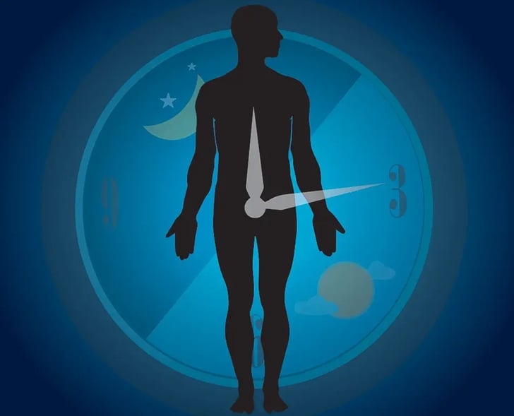 Circadian rhythm-1