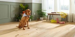 Low-Maintenance Living Starts Underfoot