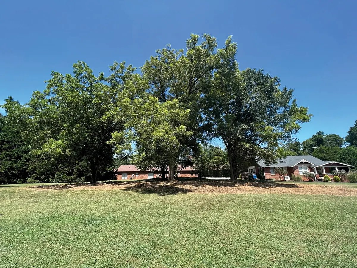 Hickory Grove Property 2-300