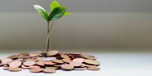 ESG Investing: Weathering Market Storms and Driving Growth in 2024