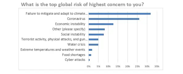What is top global risk of highest concern to you
