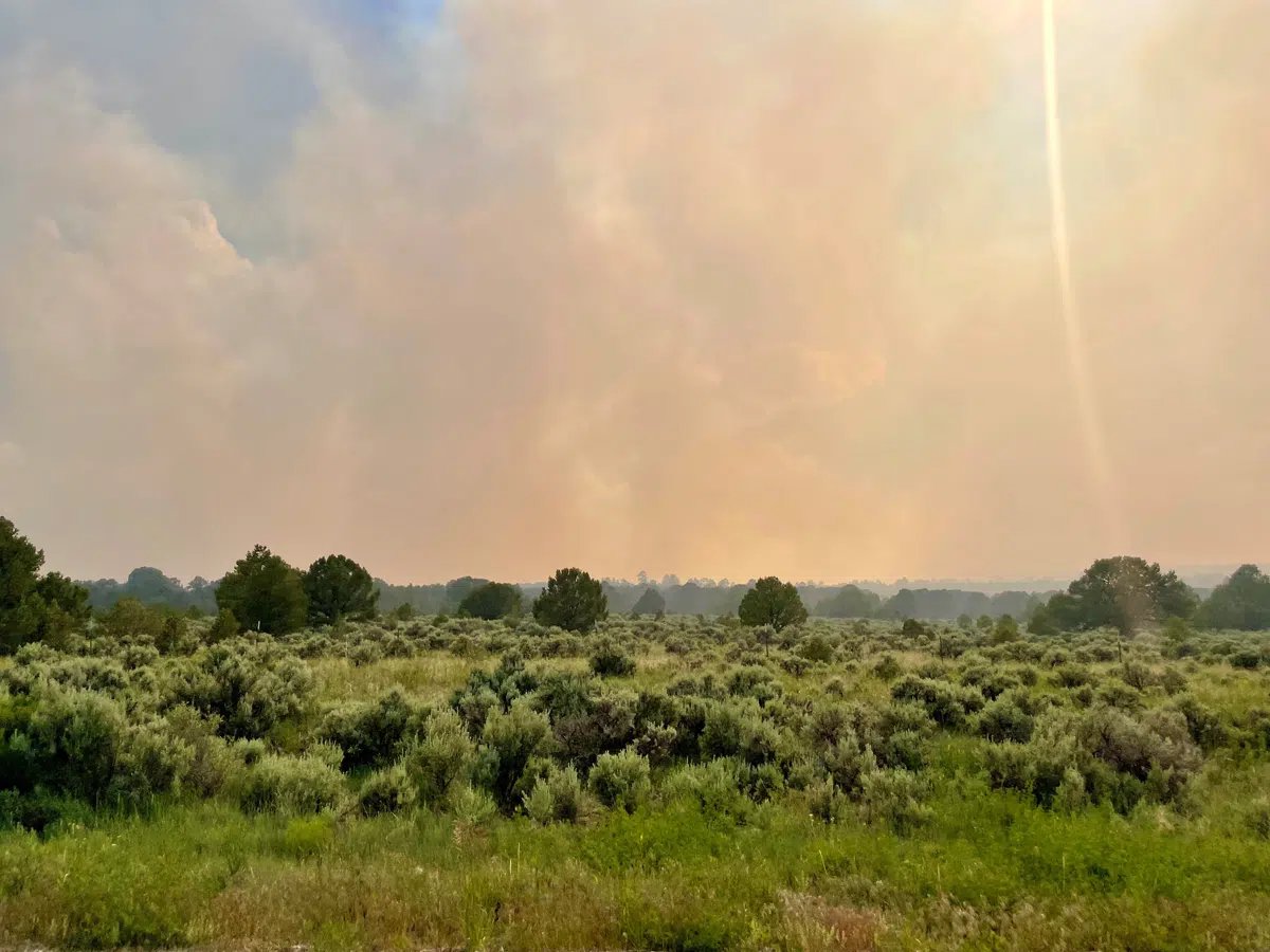 Wildfire_picture_NM