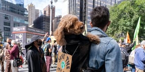 Global Climate Action Update From NYC