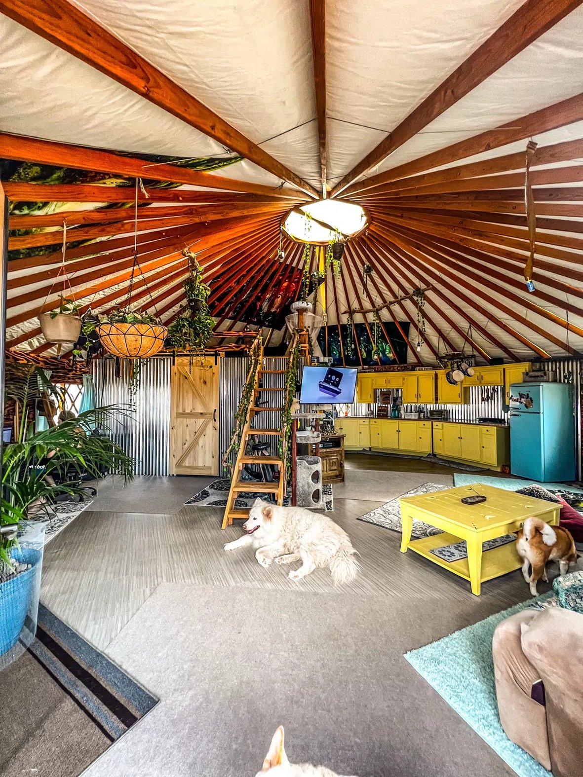 green_Builder_media_yurt_interior