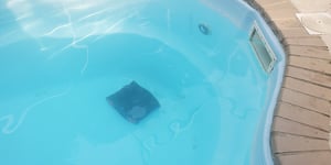 Robotic Pool Cleaner Saves Labor But Needs Some Tweaks
