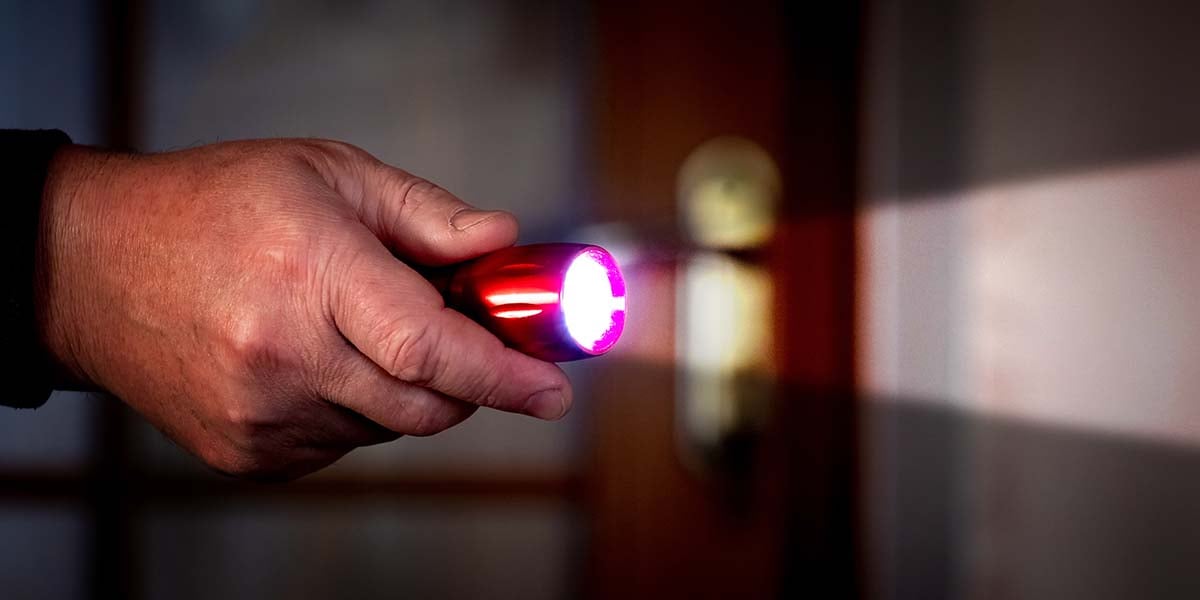 shutterstock_1645053889