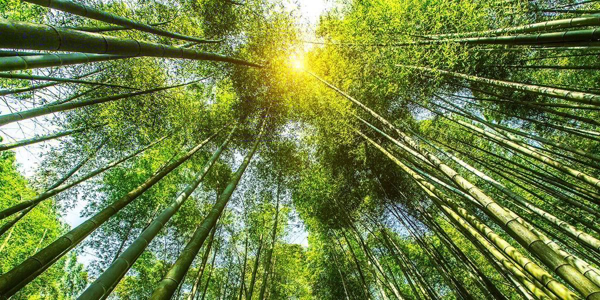 shutterstock_1903697095 a crisis of conscience