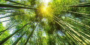 A Crisis of Conscience