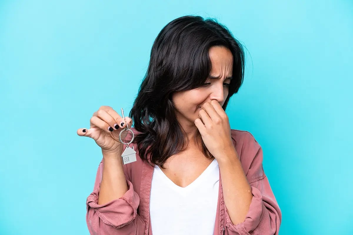 shutterstock_2471275307