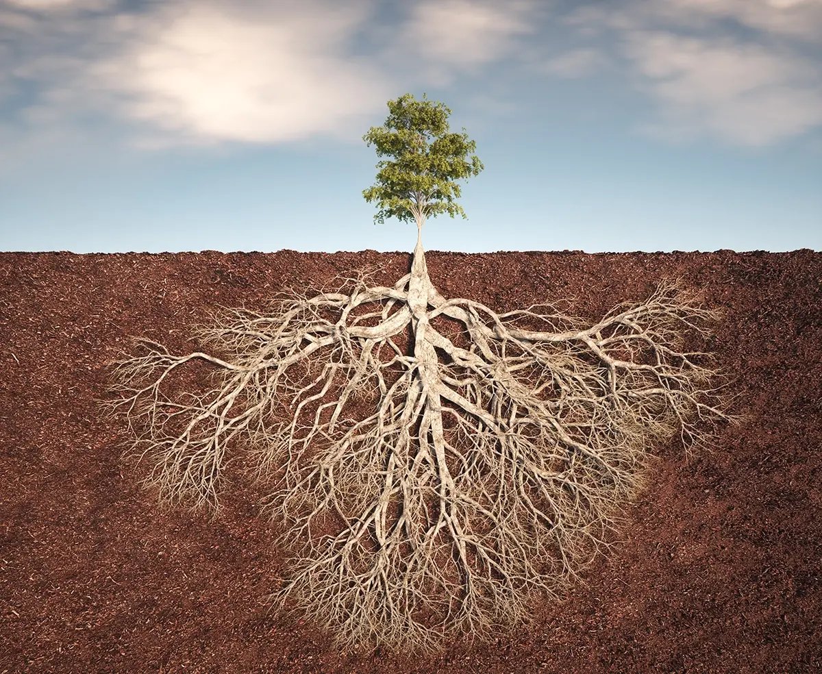 shutterstock_2536092465 energy star roots of green building