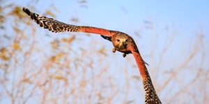 Conservation: Investing in Community Value