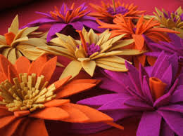 images_1