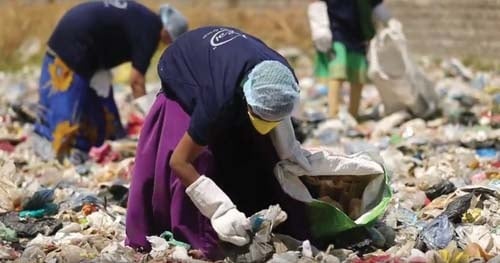 Eco Tile workers