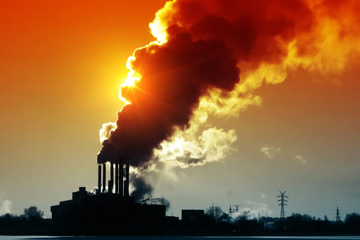 Carbon Offsets The Transition Towards Net Zero
