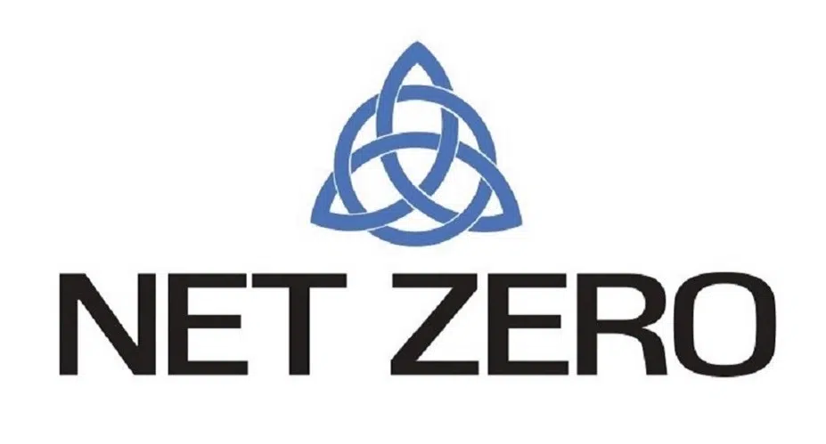 Net Zero Analysis