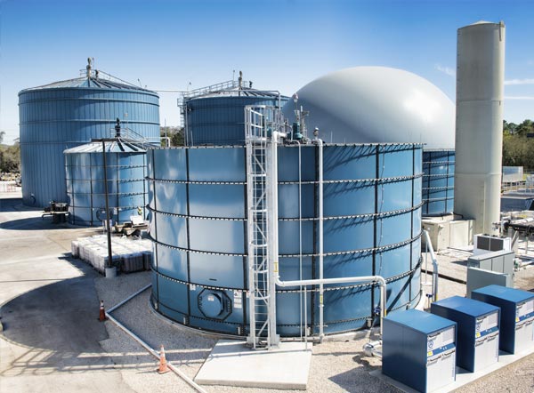 Disney_Food_Digester.jpg Disney_Food_Digester.jpg