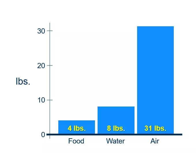 Daily food water air