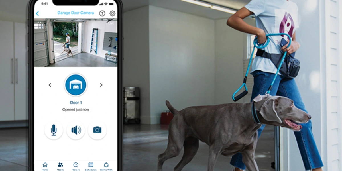 myqdogwalker-featured