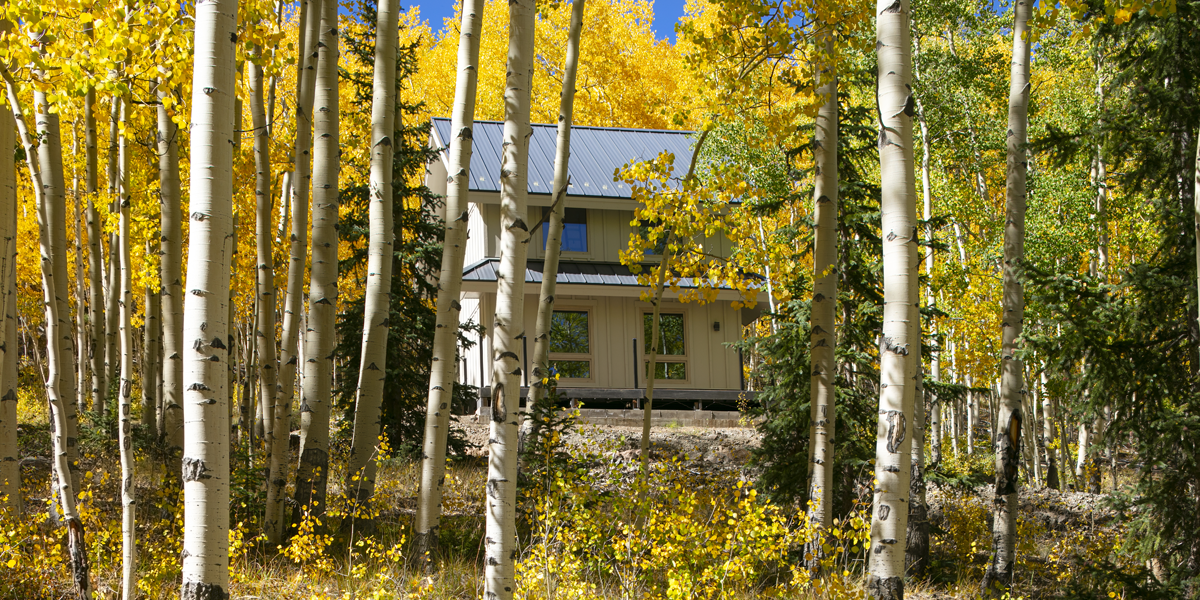 Mariposa Rain—and Shine