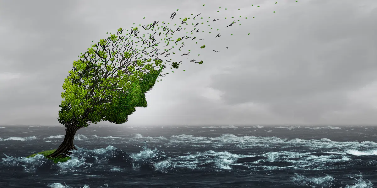 Ecopsychology Surging Anxiety Over Climate Change