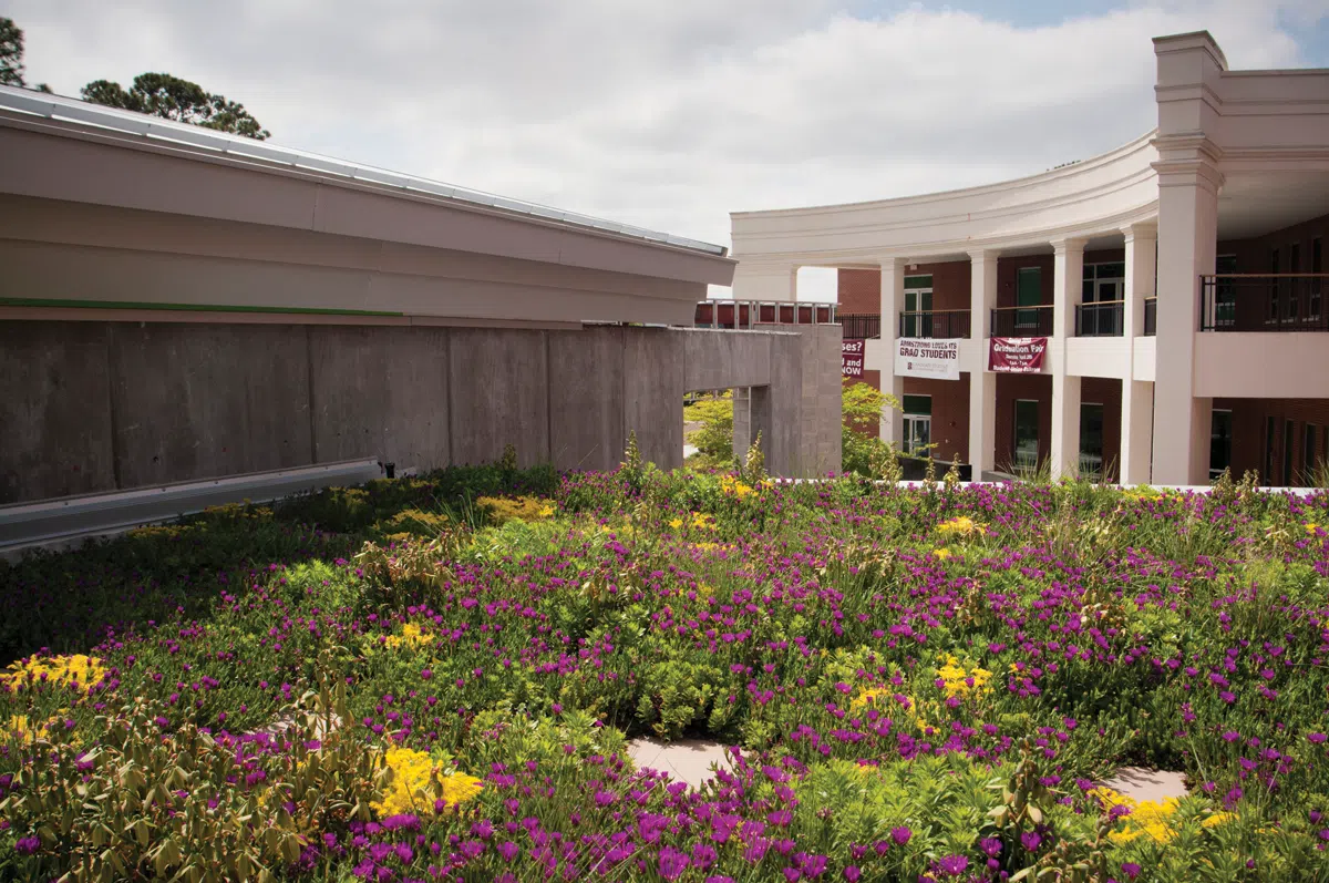 GreenRoof