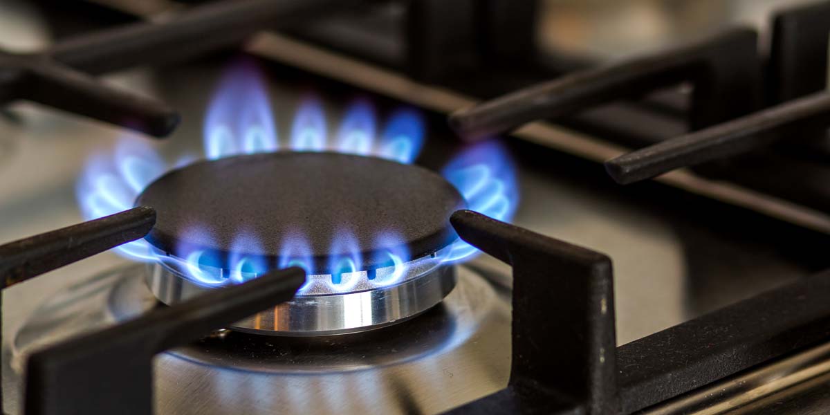 Bans on Toxic Gas Stoves Ignore the Root Cause of Indoor Pollution ...